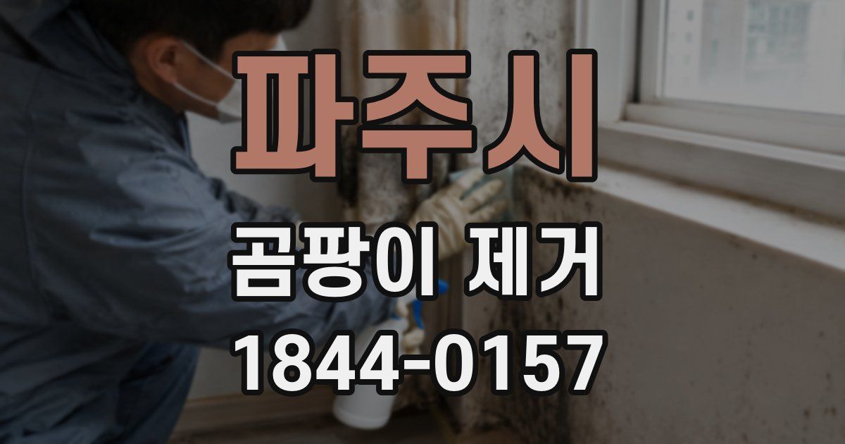 파주시 곰팡이 제거