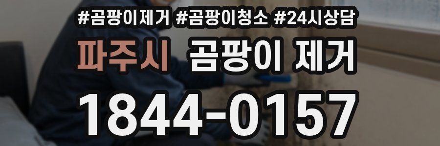 파주시 곰팡이 제거