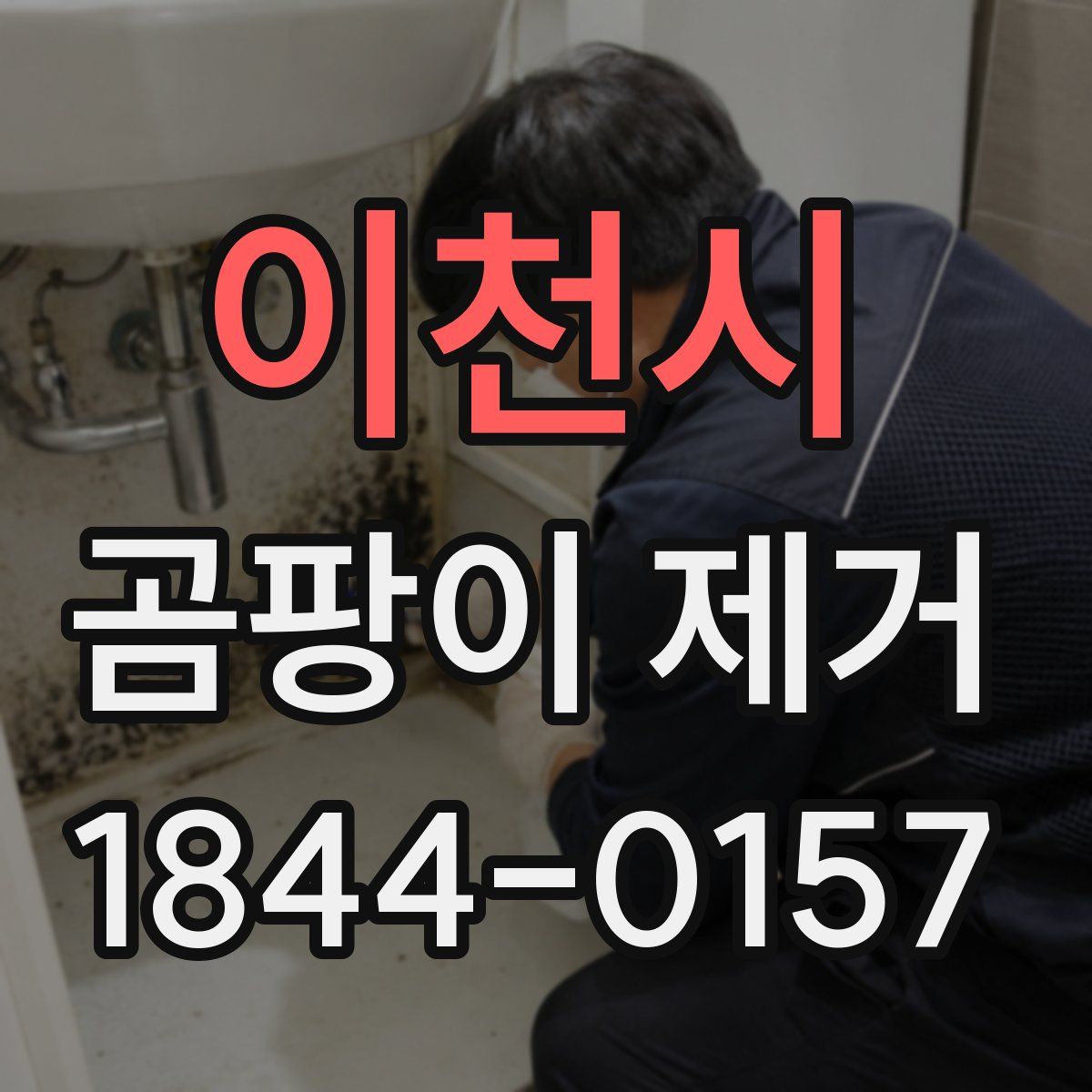 이천시 곰팡이 제거