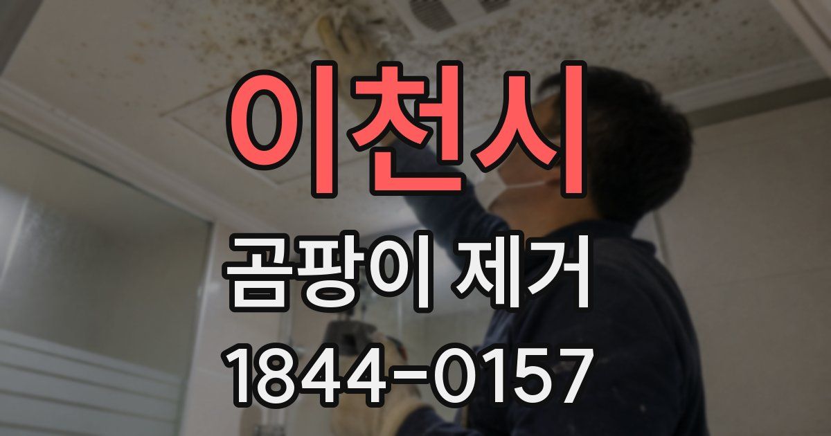 이천시 곰팡이 제거