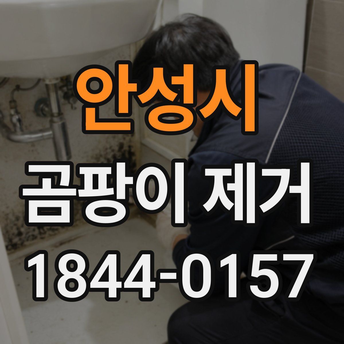 안성시 곰팡이 제거