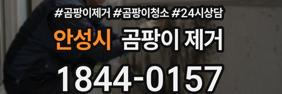 안성시 곰팡이 제거
