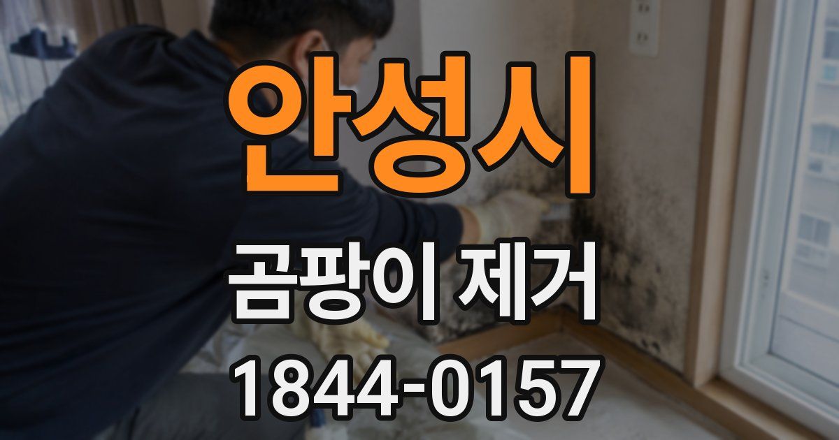안성시 곰팡이 제거
