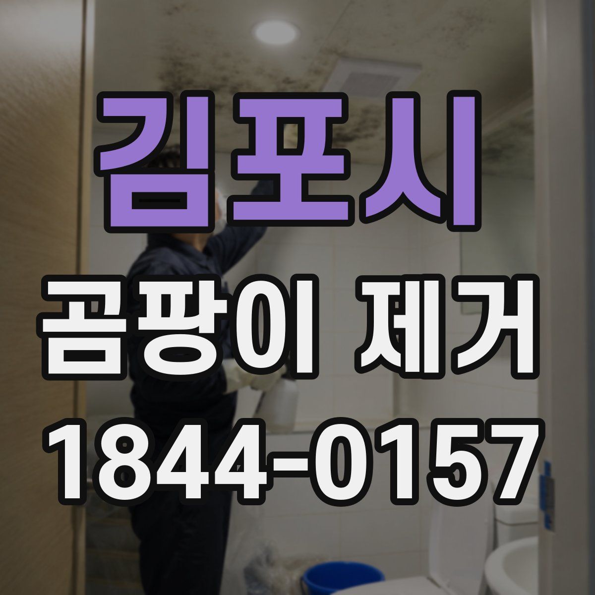 김포시 곰팡이 제거