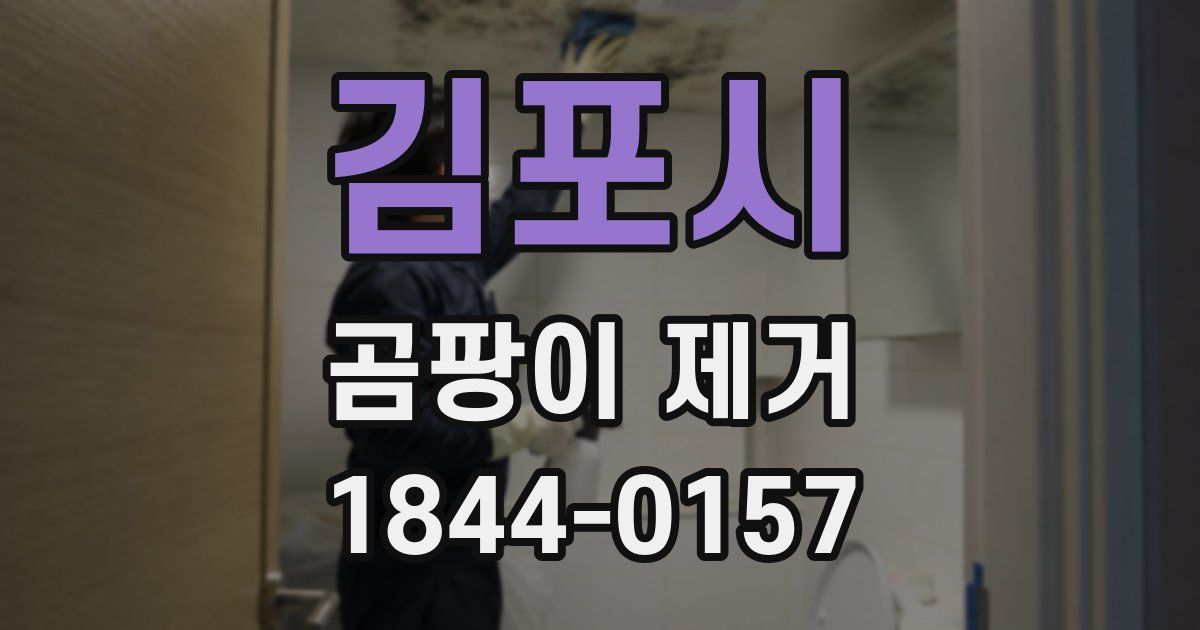 김포시 곰팡이 제거