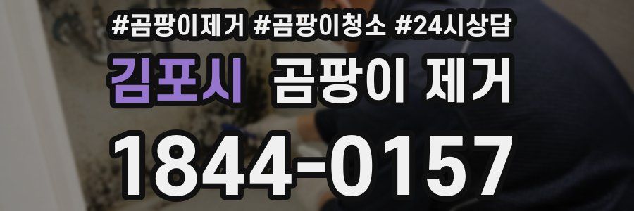 김포시 곰팡이 제거