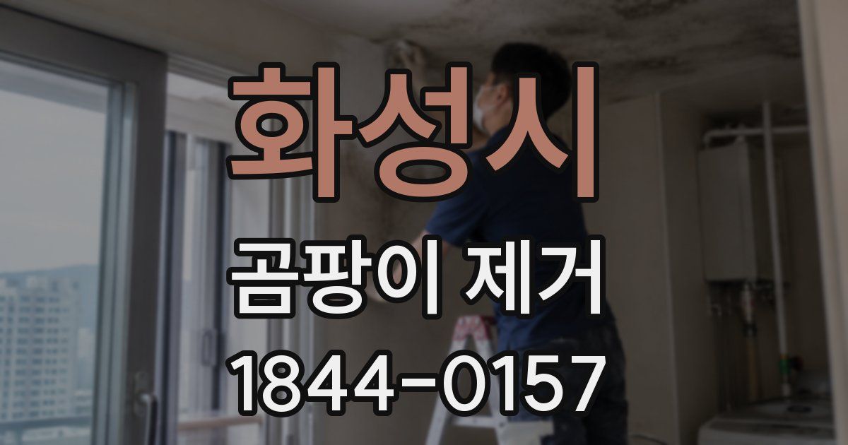 화성시 곰팡이 제거