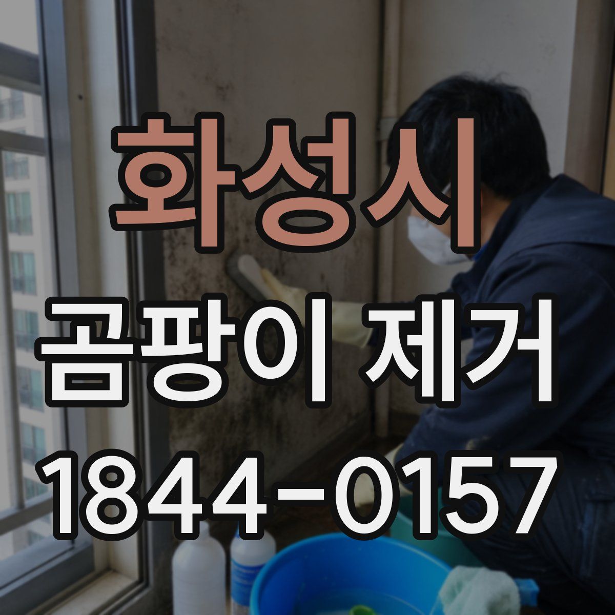 화성시 곰팡이 제거