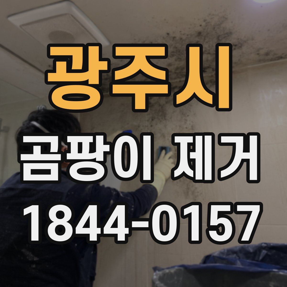광주시 곰팡이 제거