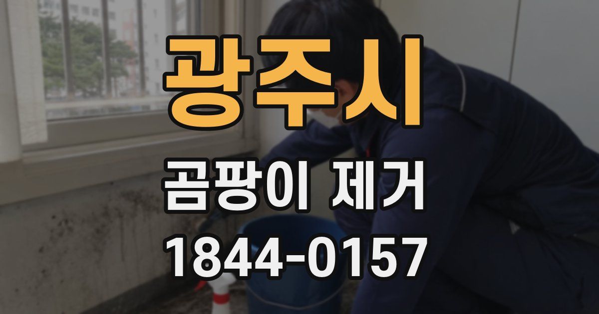 광주시 곰팡이 제거