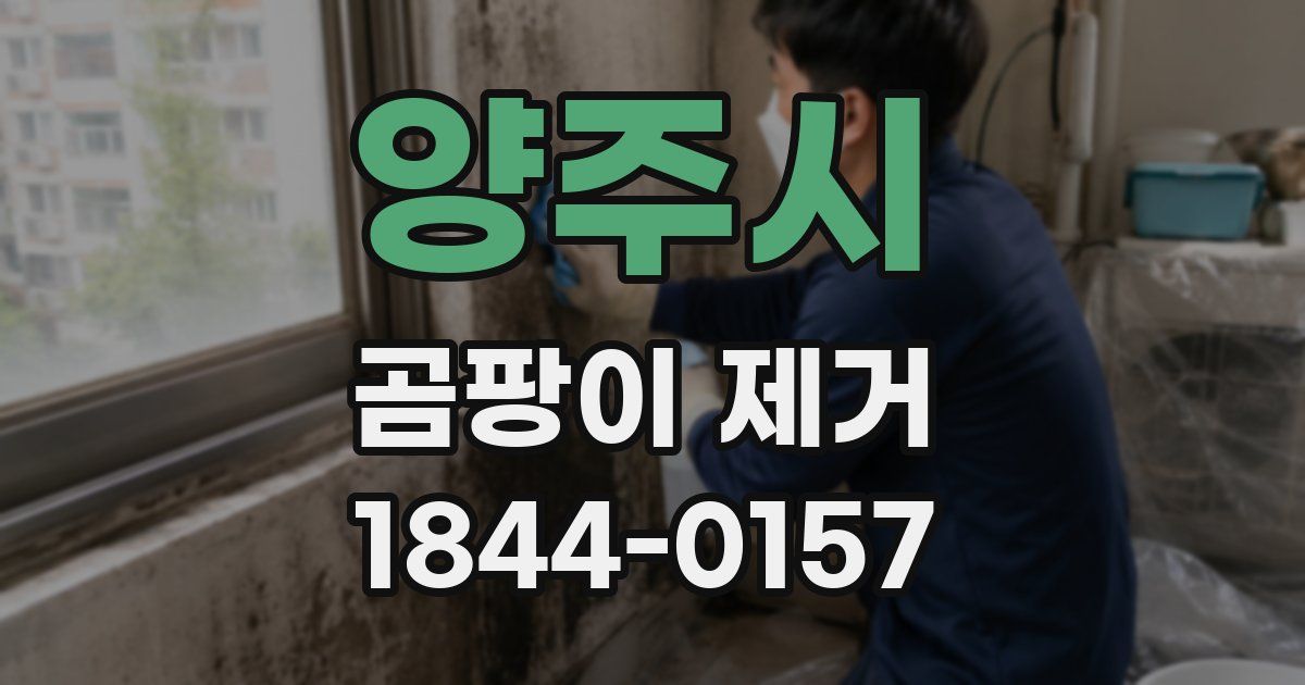 양주시 곰팡이 제거