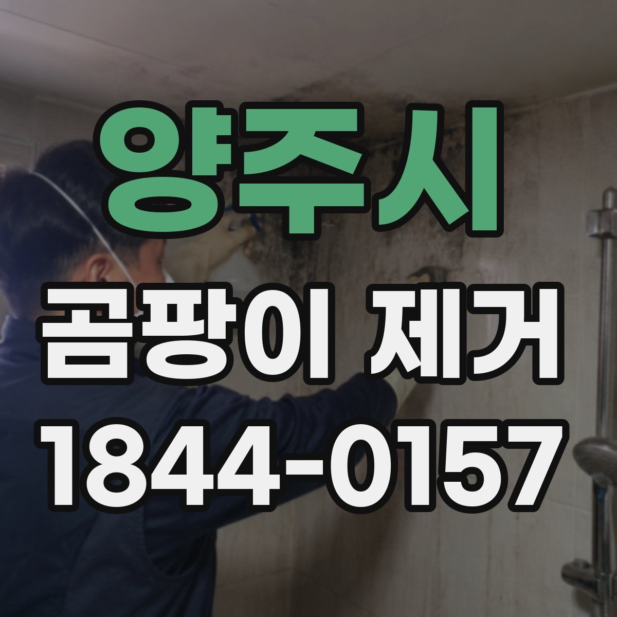 양주시 곰팡이 제거
