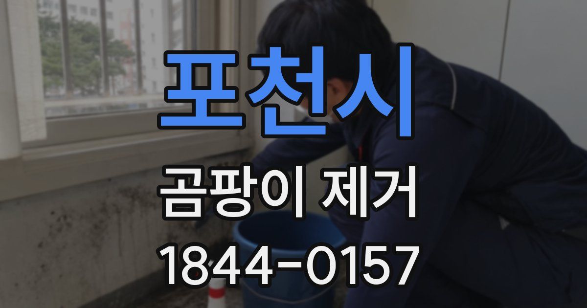 포천시 곰팡이 제거
