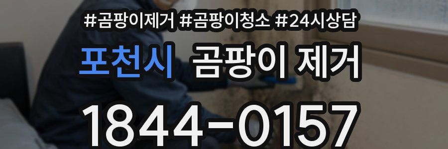 포천시 곰팡이 제거