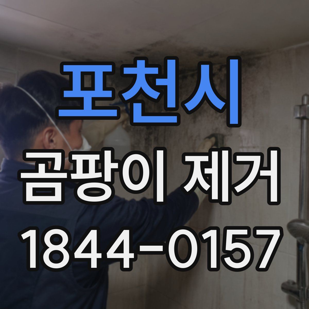 포천시 곰팡이 제거