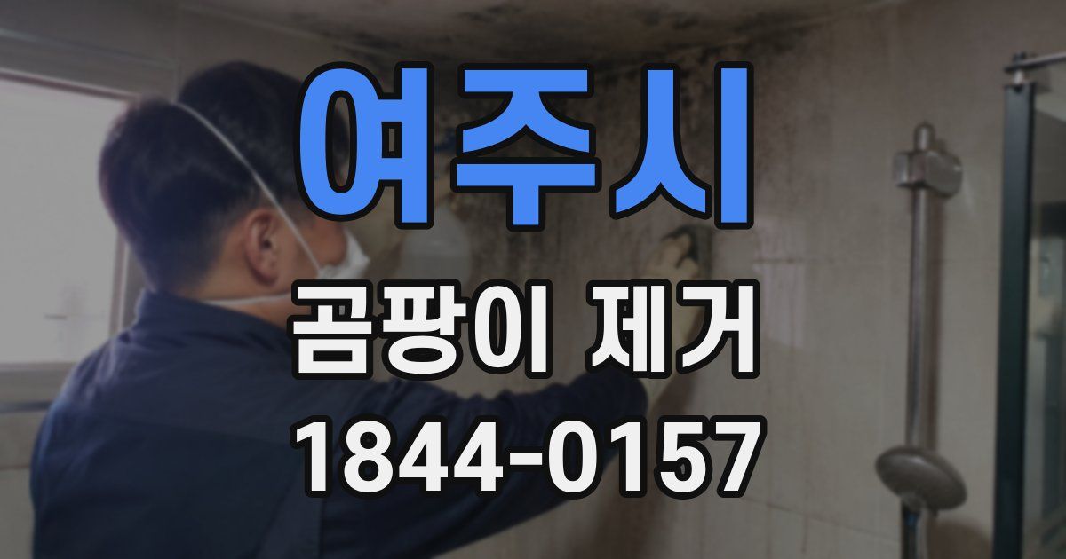 여주시 곰팡이 제거