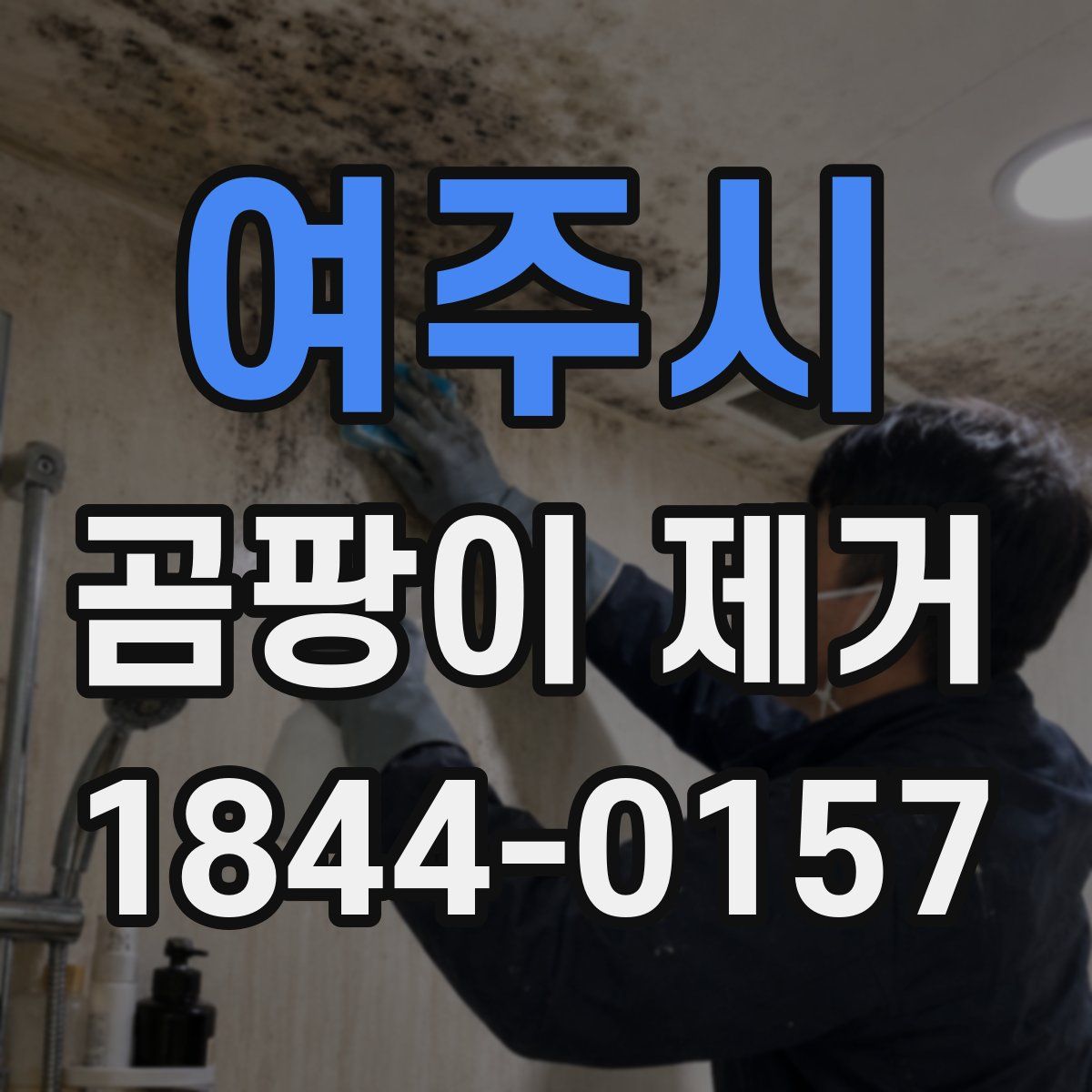 여주시 곰팡이 제거