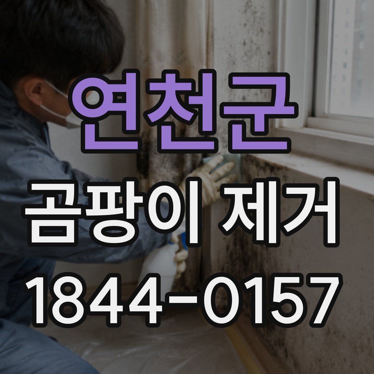 연천군 곰팡이 제거