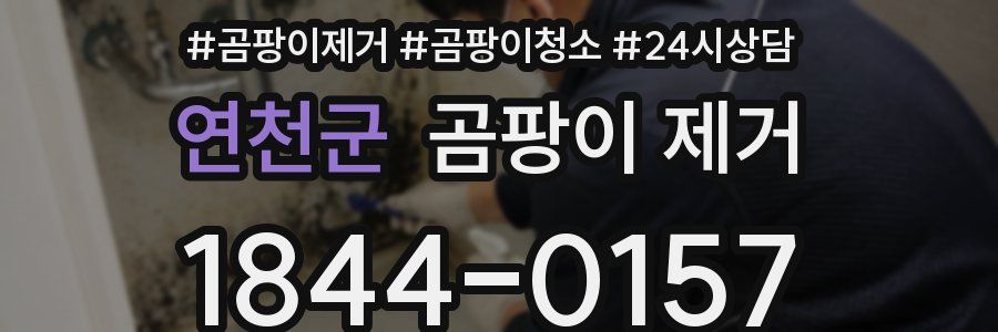 연천군 곰팡이 제거