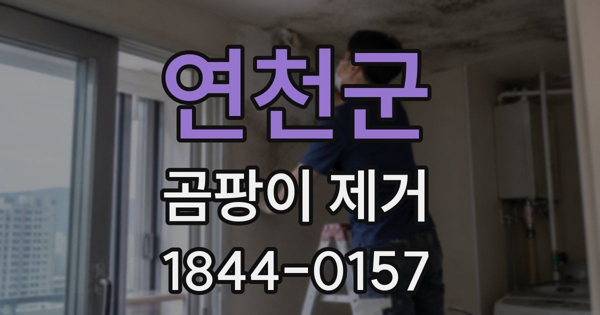 연천군 곰팡이 제거