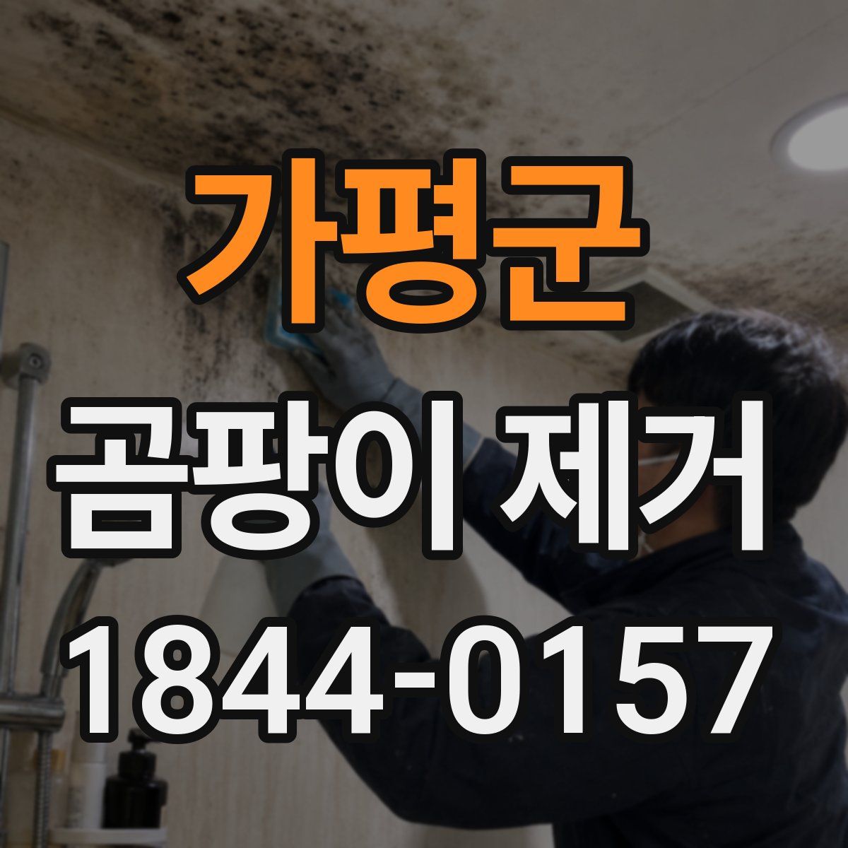 가평군 곰팡이 제거