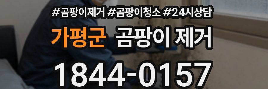 가평군 곰팡이 제거