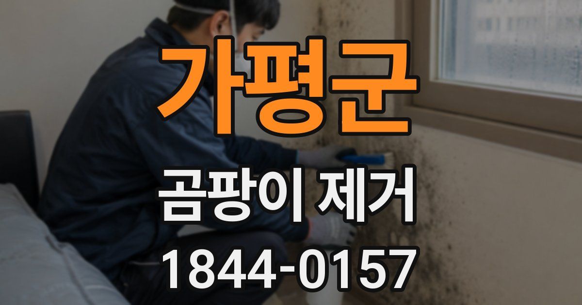 가평군 곰팡이 제거