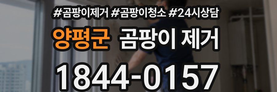 양평군 곰팡이 제거