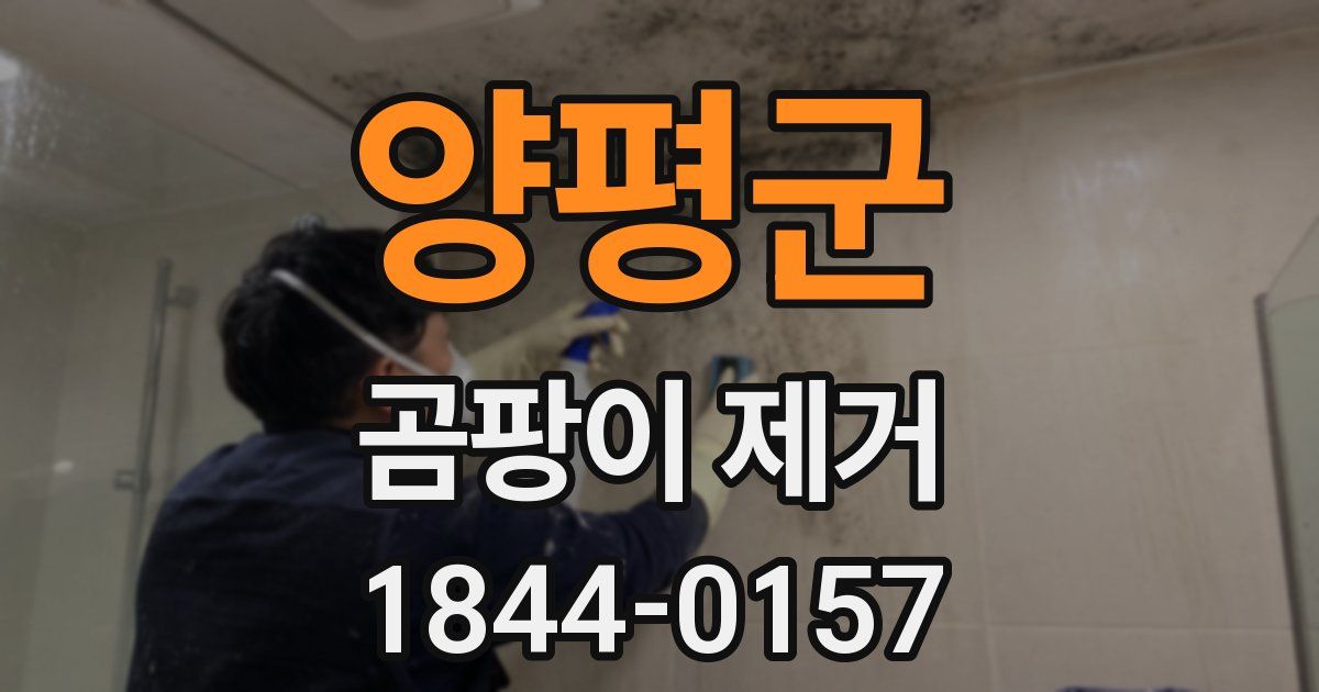 양평군 곰팡이 제거