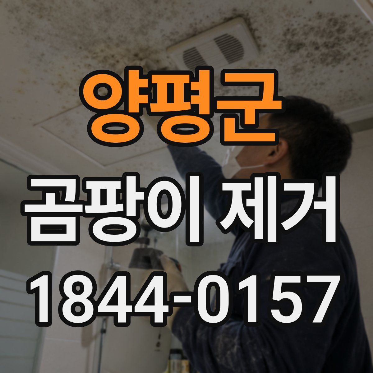 양평군 곰팡이 제거