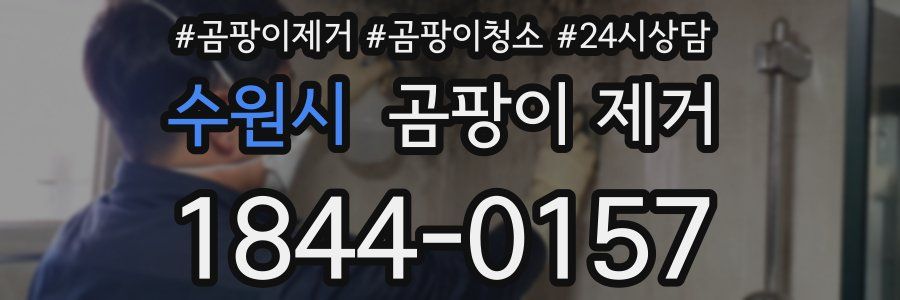 수원시 곰팡이 제거