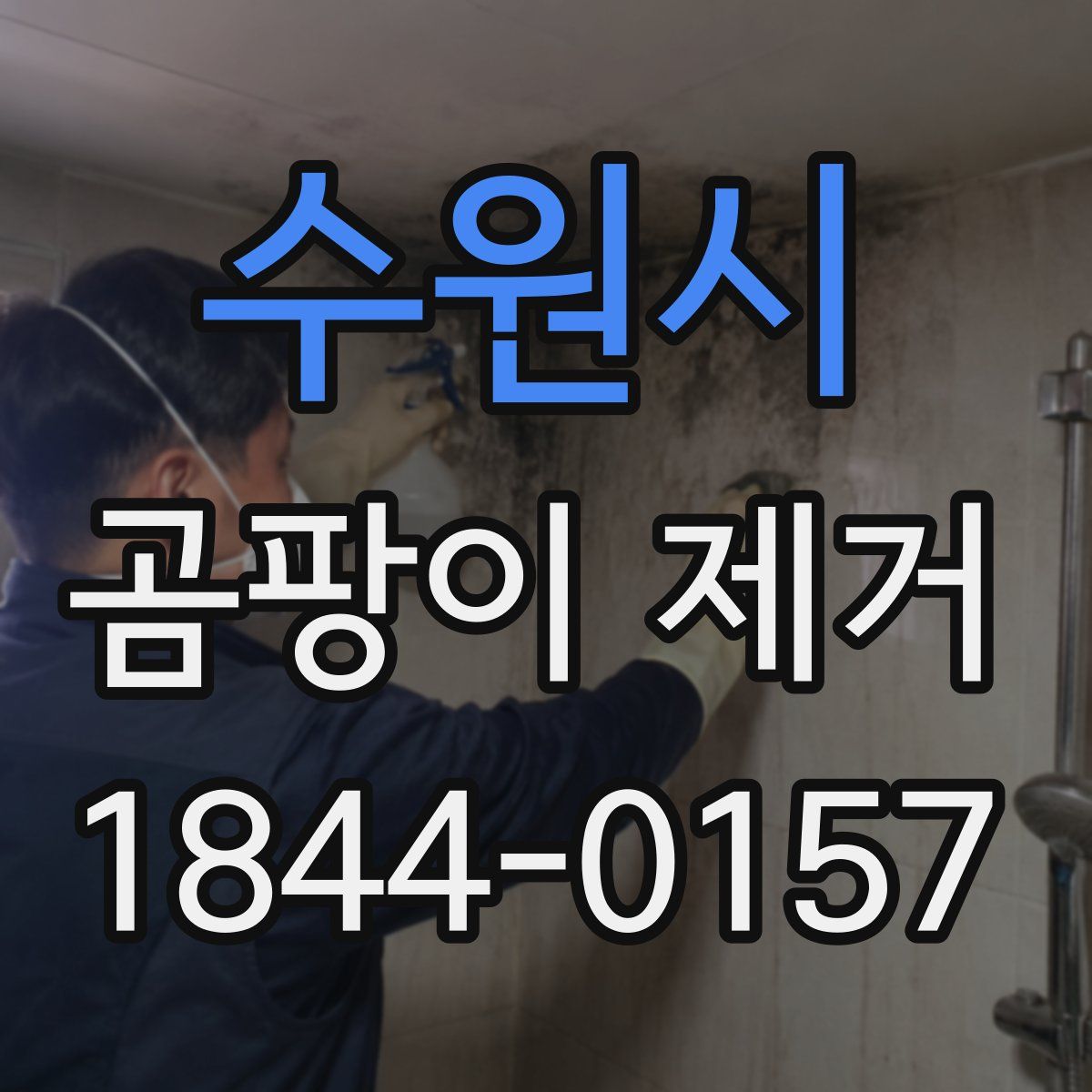 수원시 곰팡이 제거