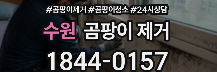수원 곰팡이 제거