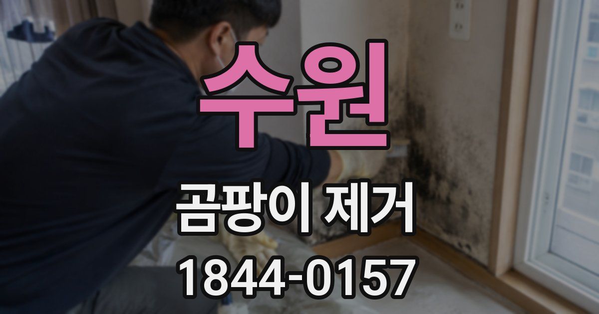수원 곰팡이 제거