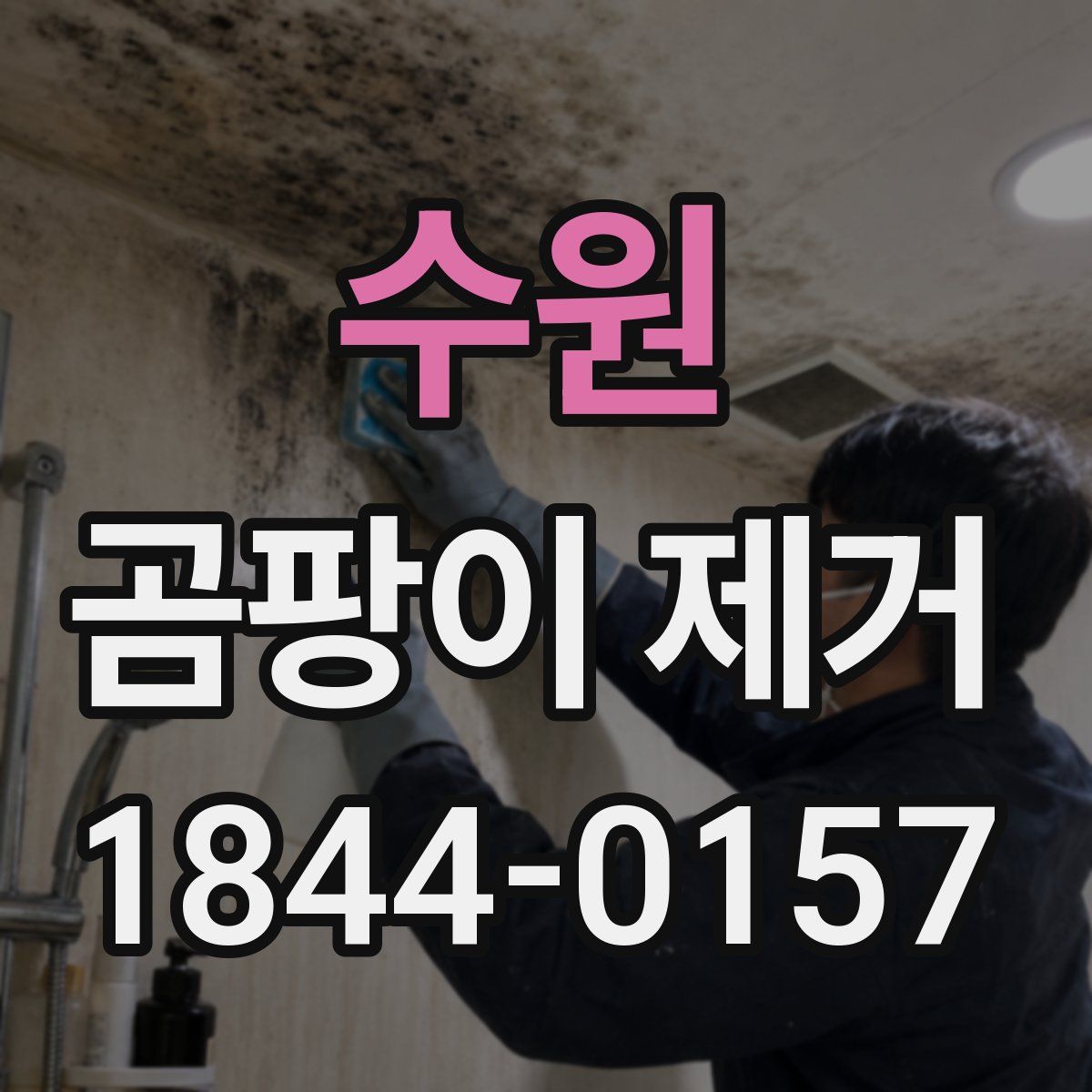 수원 곰팡이 제거