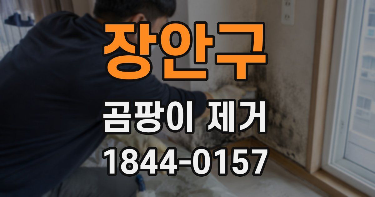 장안구 곰팡이 제거