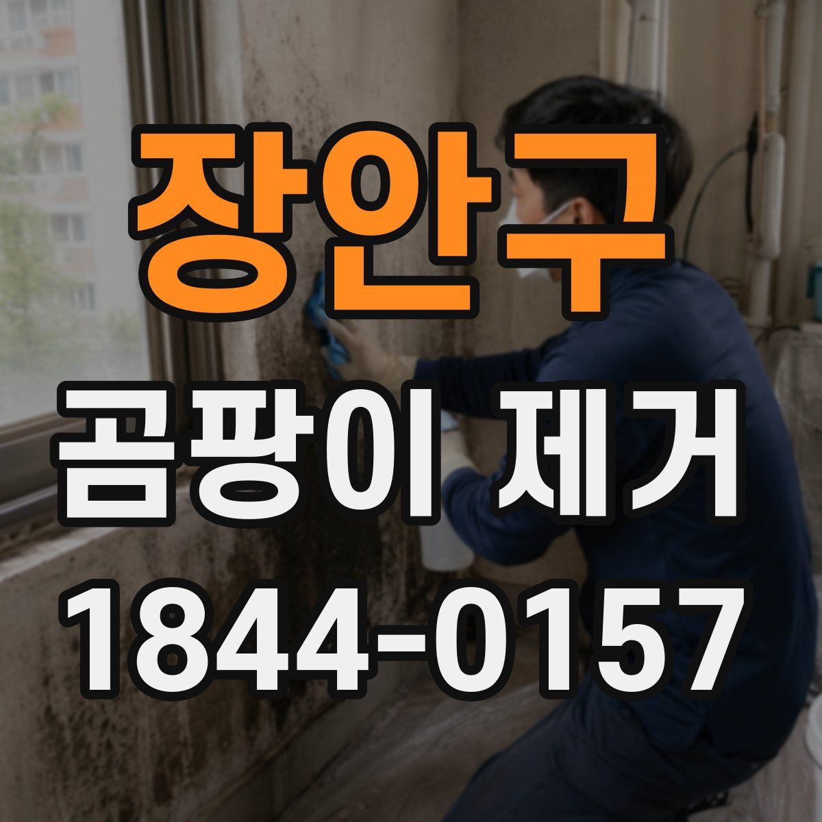 장안구 곰팡이 제거