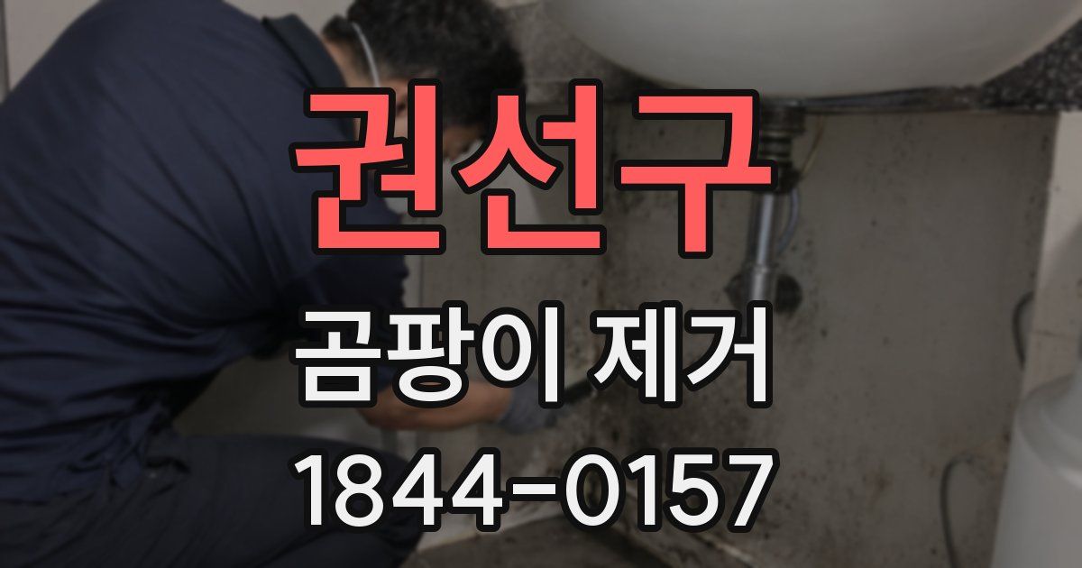 권선구 곰팡이 제거