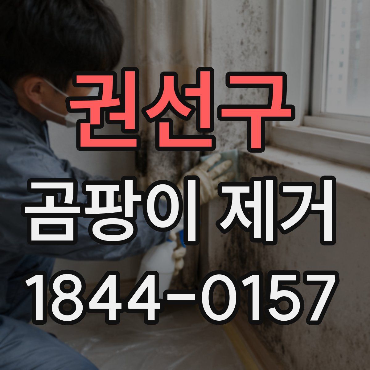 권선구 곰팡이 제거