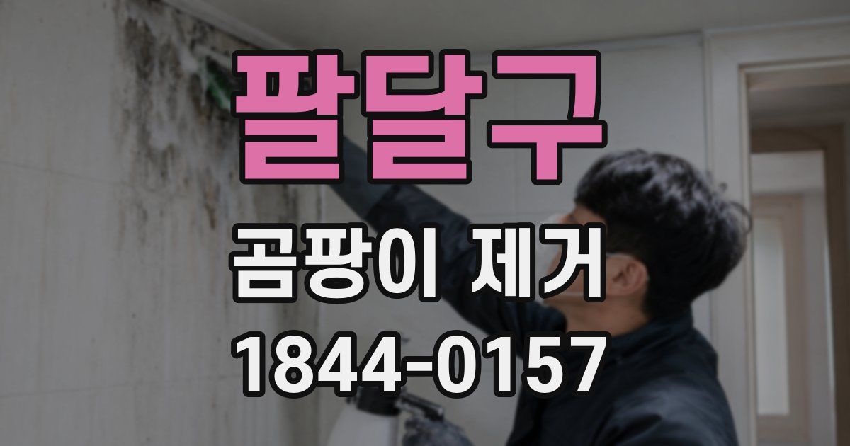 팔달구 곰팡이 제거
