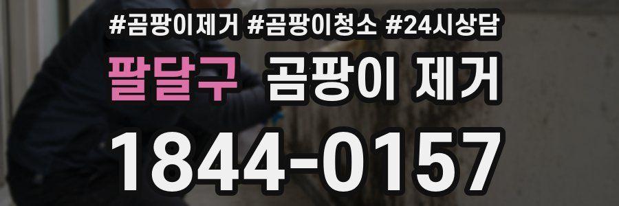 팔달구 곰팡이 제거