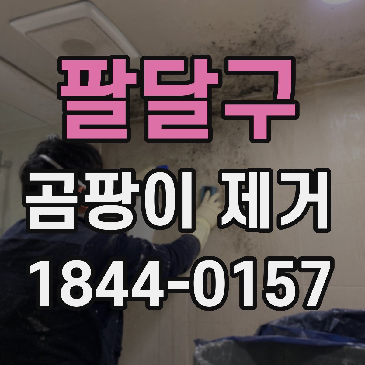 팔달구 곰팡이 제거