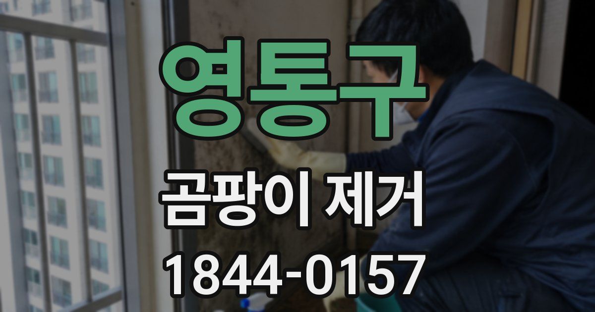 영통구 곰팡이 제거