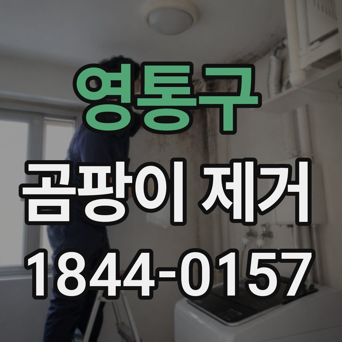 영통구 곰팡이 제거