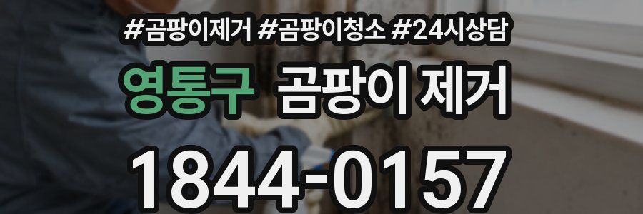 영통구 곰팡이 제거