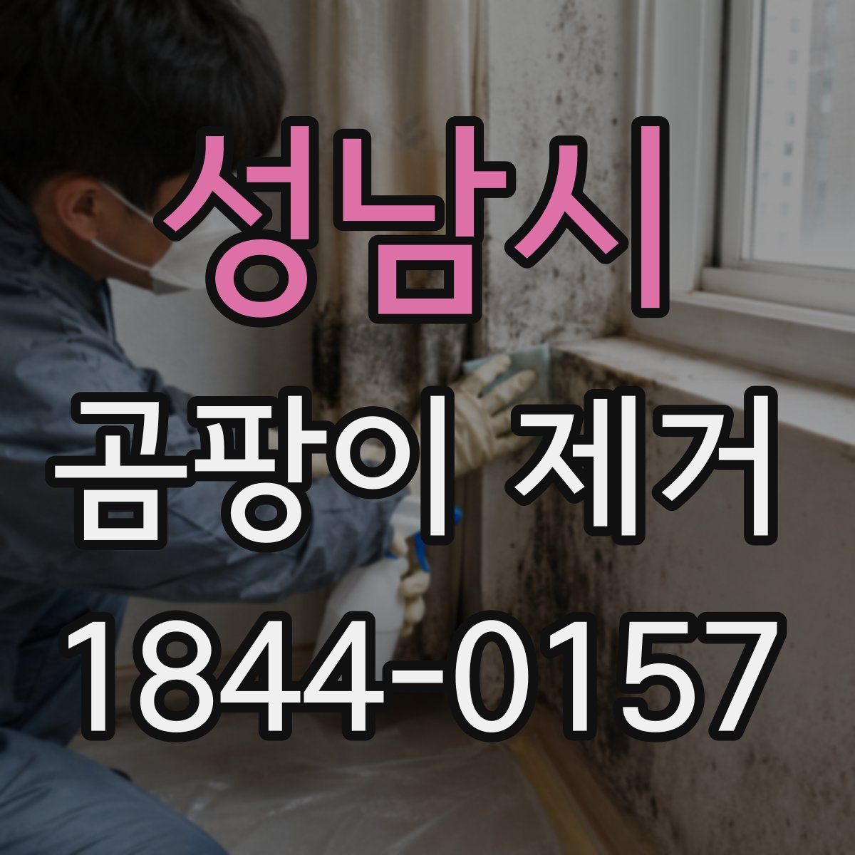 성남시 곰팡이 제거
