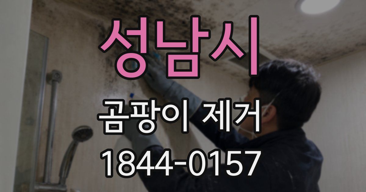 성남시 곰팡이 제거