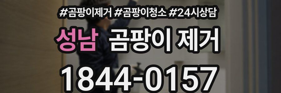 성남 곰팡이 제거