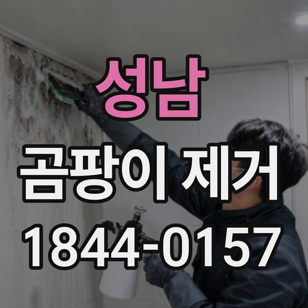성남 곰팡이 제거