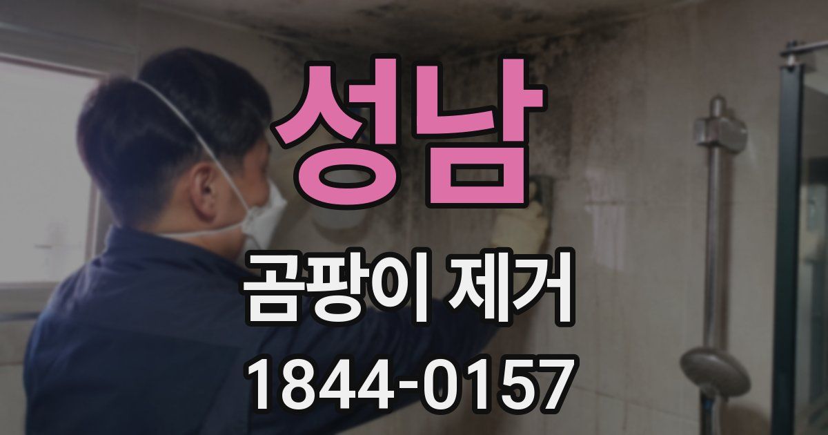 성남 곰팡이 제거